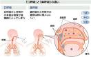 口呼吸